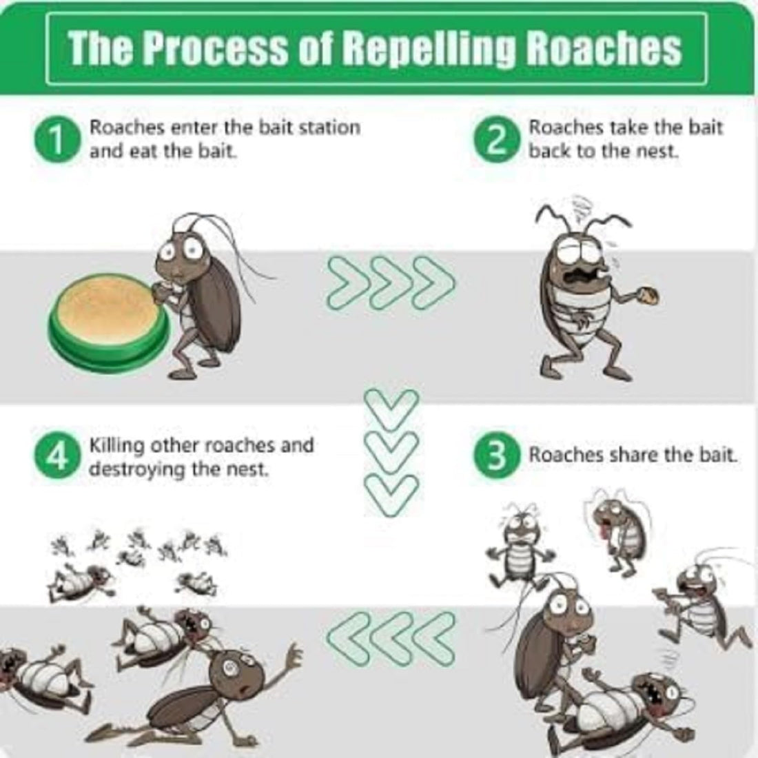 Cockroach Killer Gel for Kitchen & Home – Powerful Roach Control Solution